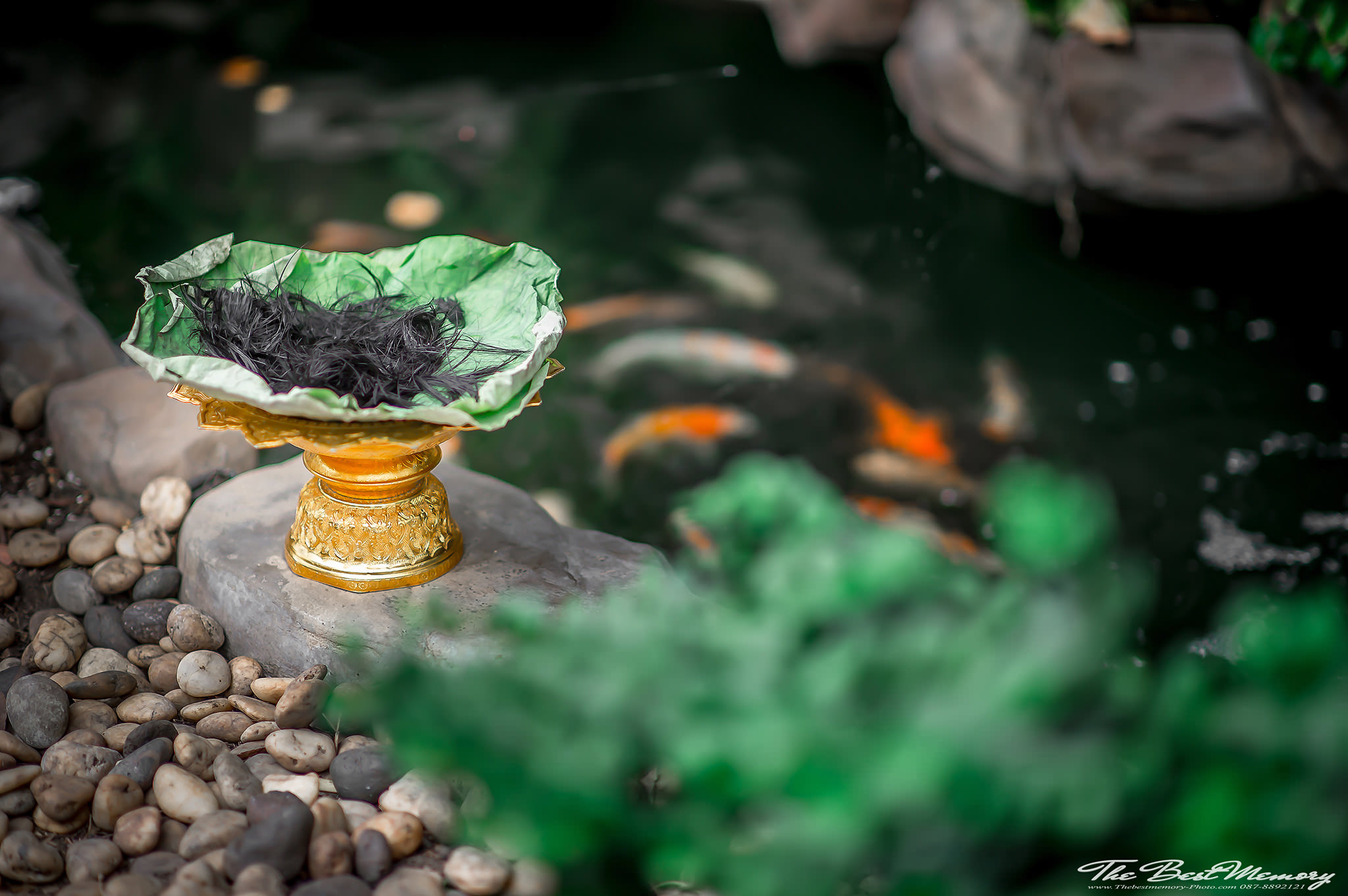 ช่างภาพงานบวช ถ่ายรูปงานบวช หาช่างภาพงานบวช รับถ่ายภาพงานบวช ตากล้องงานบวช รับถ่ายภาพงานบวช งานบวช